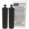 black berkey purification element